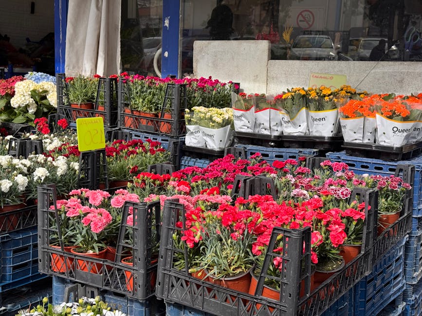 A variety of potted flowers on display outside a florist's shop, including bright pink, red, white, yellow, and orange blooms. The plants are arranged in black plastic crates stacked on top of each ot