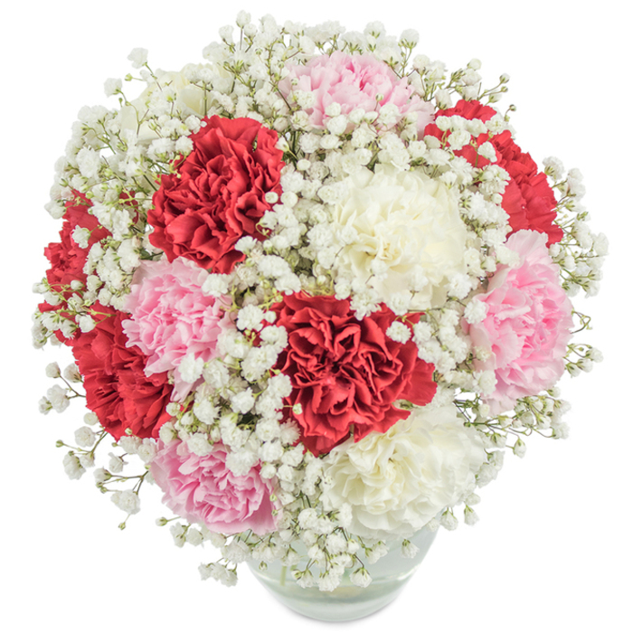 Artful and full-bodied, this floral bouquet-lovingly crafted in the Surrey Quays area-brings together classic carnations in deep red, pastel pink, and creamy white, each bloom imbued with dense ruffles and fresh vitality. Interwoven with countless sprigs of baby's breath, the pure white gypsophila adds a soft, airy dimension, its tiny florets clustered like morning mist above Canada Water. The luscious, almost spherical arrangement is expertly displayed in a clear glass vase, where the submerged stems and glistening water hint at the bouquet's garden-fresh spirit. Photographed against a bright, uncluttered white background, the vibrant palette of blossoms is illuminated in crisp detail, with every petal, fold, and shadow rendered in visual harmony. This bouquet is a testament to the artistry of Surrey Quays florists, capturing the joyful essence found along the riverside or on a walk across Greenland Dock. Its elegant form and classic color story mark it as a perfect gift for Mother's Day, anniversaries, or heartfelt thank-yous, embodying warmth, celebration, and pure affection-each stem offering a sense of enduring beauty and local pride to anyone lucky enough to receive it.