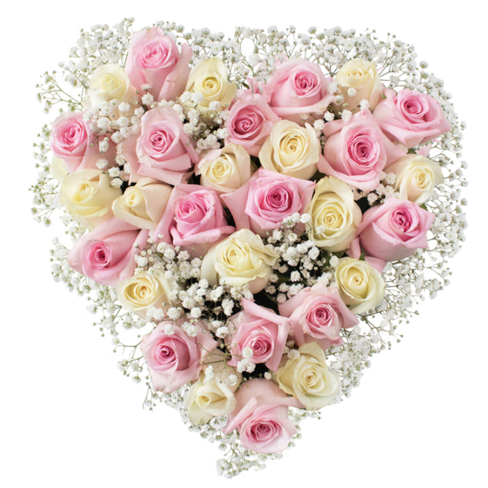 Centered in the frame, a lush heart-shaped floral arrangement composed by a dedicated Surrey Quays florist shines against a bright, flawless backdrop. The core of the heart overflows with approximately thirty soft-hued roses, gracefully alternating between delicate blush pink and creamy, pastel ivory. Each rose is at a different stage of bloom, from tightly held buds to fully open blossoms, their petals smooth and velvety-a tactile detail that resonates throughout the bouquet. Among these generous roses, billowy sprays of white baby's breath are thoughtfully nestled, their tiny blossoms creating a dreamy, almost cloud-like texture that uplifts the entire design. The whites and pinks merge seamlessly, delivering a visual harmony as calming as an afternoon stroll along the riverside. The arrangement's perfect, plump heart shape conveys emotions of deep affection and remembrance, making it especially fitting for sympathy tributes at South Dock or for romantic gestures in family homes along Salter Road. Soft, even lighting ensures that every subtle colour and petal edge is highlighted, reinforcing the sense of freshness and gentle care that Flowers Surrey Quays is known for. This exquisite composition evokes both serenity and warmth-an ideal inspiration for articles about meaningful gifts, special occasions, or heartfelt farewells within the Surrey Quays community and its neighbouring districts.