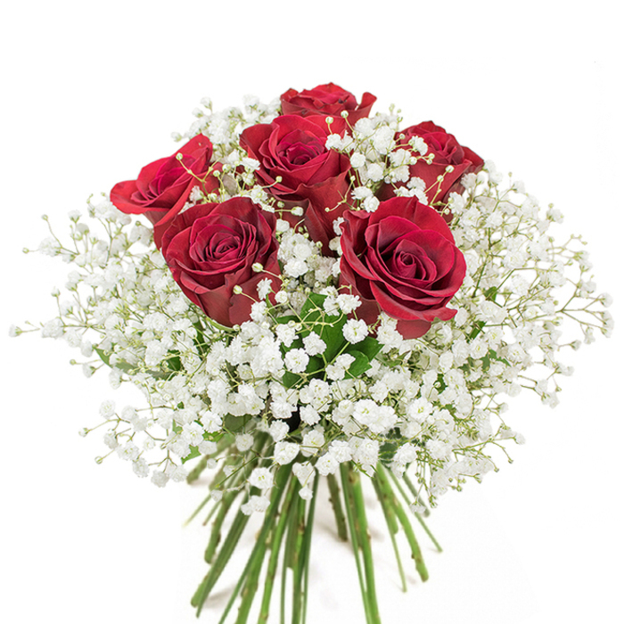 A vision of refined romance, this Surrey Quays bouquet invites admiration with its harmonious composition of six luxuriant crimson roses set against the crisp clarity of a white background. Each rose is showcased in near-full bloom-its velvety petals uncoiling gracefully, creating hypnotic spirals of deep, heartfelt red. These iconic blooms radiate a warmth that resonates deeply, their beauty accentuated by generous swathes of cloud-like white baby's breath. The gypsophila's tiny blossoms, fresh and ethereal, float airily between the roses, imparting softness and gentle movement to the overall design. Stems of lively green emerge at the base, indicating expert hand-tying and a touch of freshness that recalls morning walks along Surrey Quays' riverside, where nature and city life blend. The arrangement exudes a calm confidence, perfect for conveying love or appreciation, from intimate gatherings near South Dock Marina to lively celebrations on Lower Road. Every element is thoughtfully placed by the skilled florists at Flowers Surrey Quays-balancing drama and refinement without sentimentality. The simplicity of the palette-crimson and white-invites emotion, gently echoing feelings of admiration, joy, and sincere affection. Ideal for milestone occasions or spontaneous gestures alike, this bouquet is a sensory delight and a local favourite in Surrey Quays, carrying a sense of poised charm and time-honoured florist tradition.
